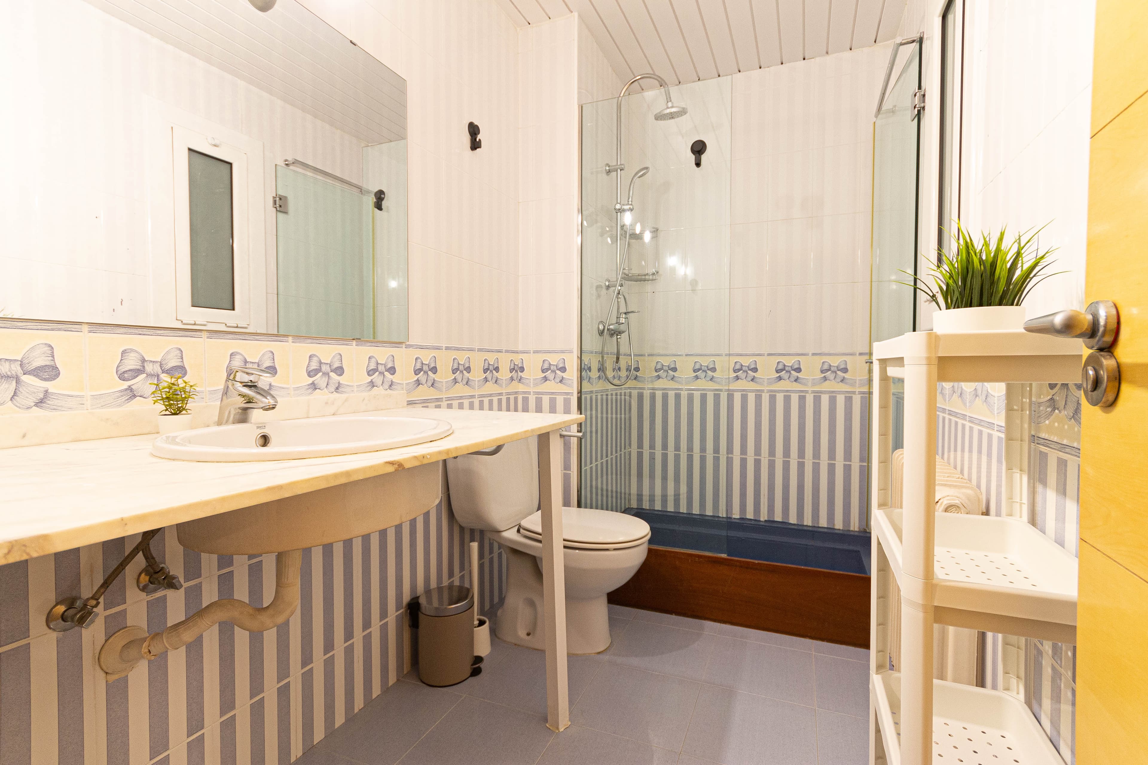 R0391 Amigo 25 photo 2