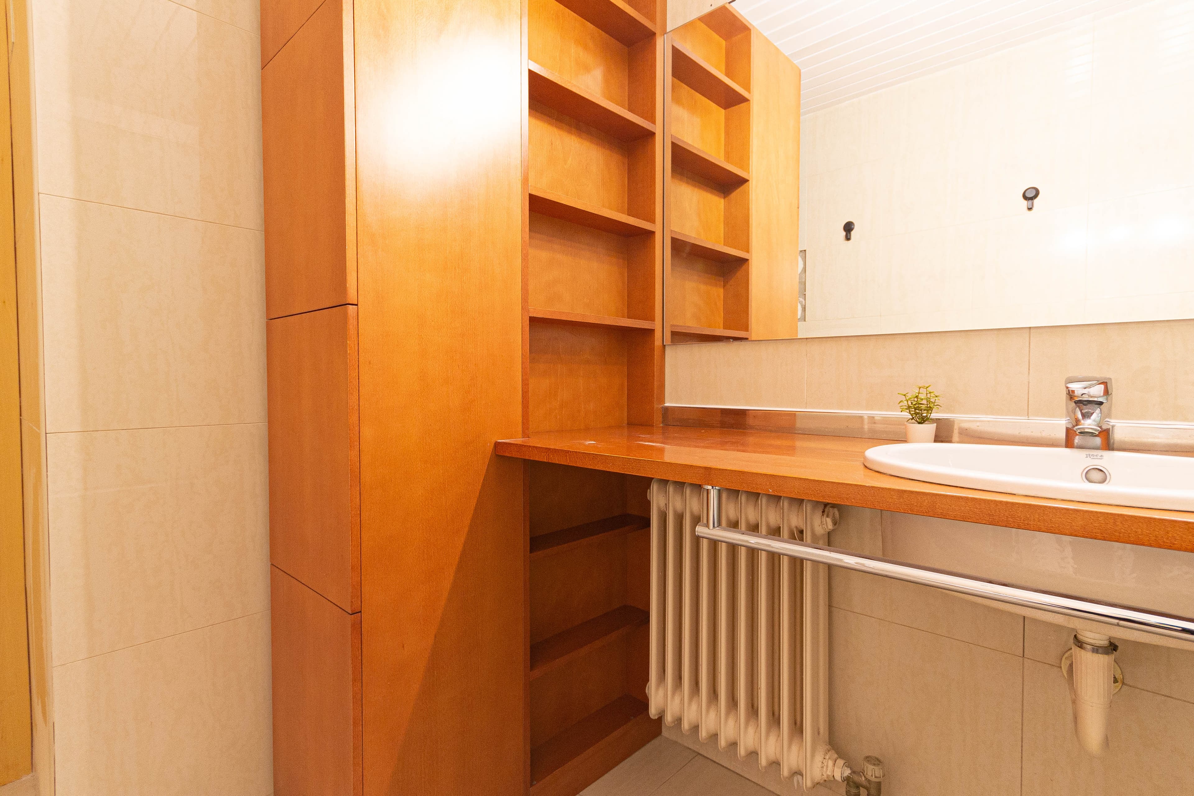 R0391 Amigo 25 photo 3