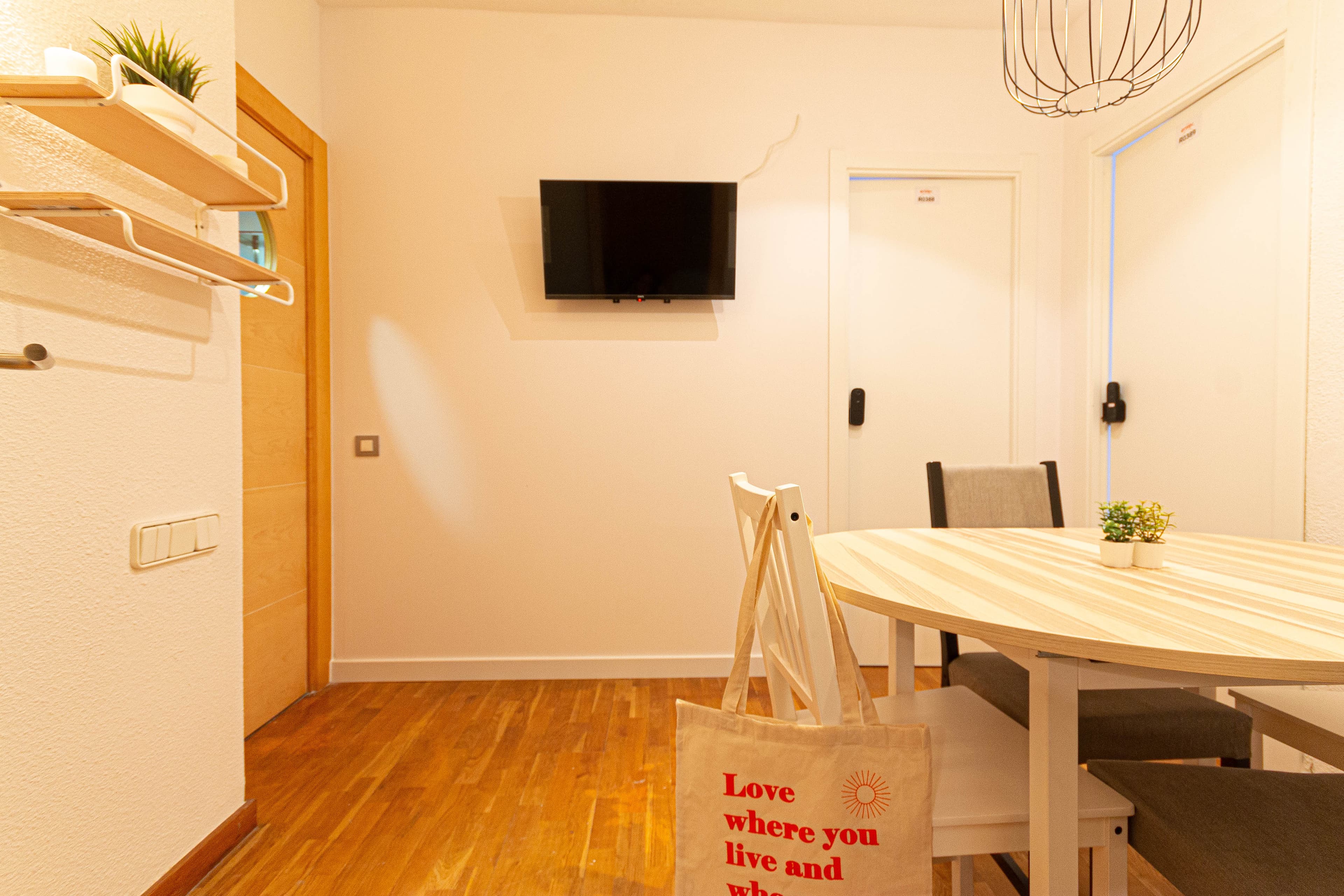 R0391 Amigo 25 photo 5